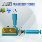 WSR-150電力行業(yè)專用羅茨鼓風(fēng)機(jī)