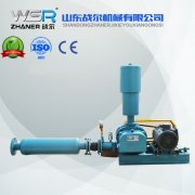 WSR-100電力行業(yè)專用羅茨鼓風(fēng)機(jī)