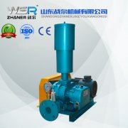 WSR-65電力行業(yè)專用羅茨鼓風(fēng)機(jī)
